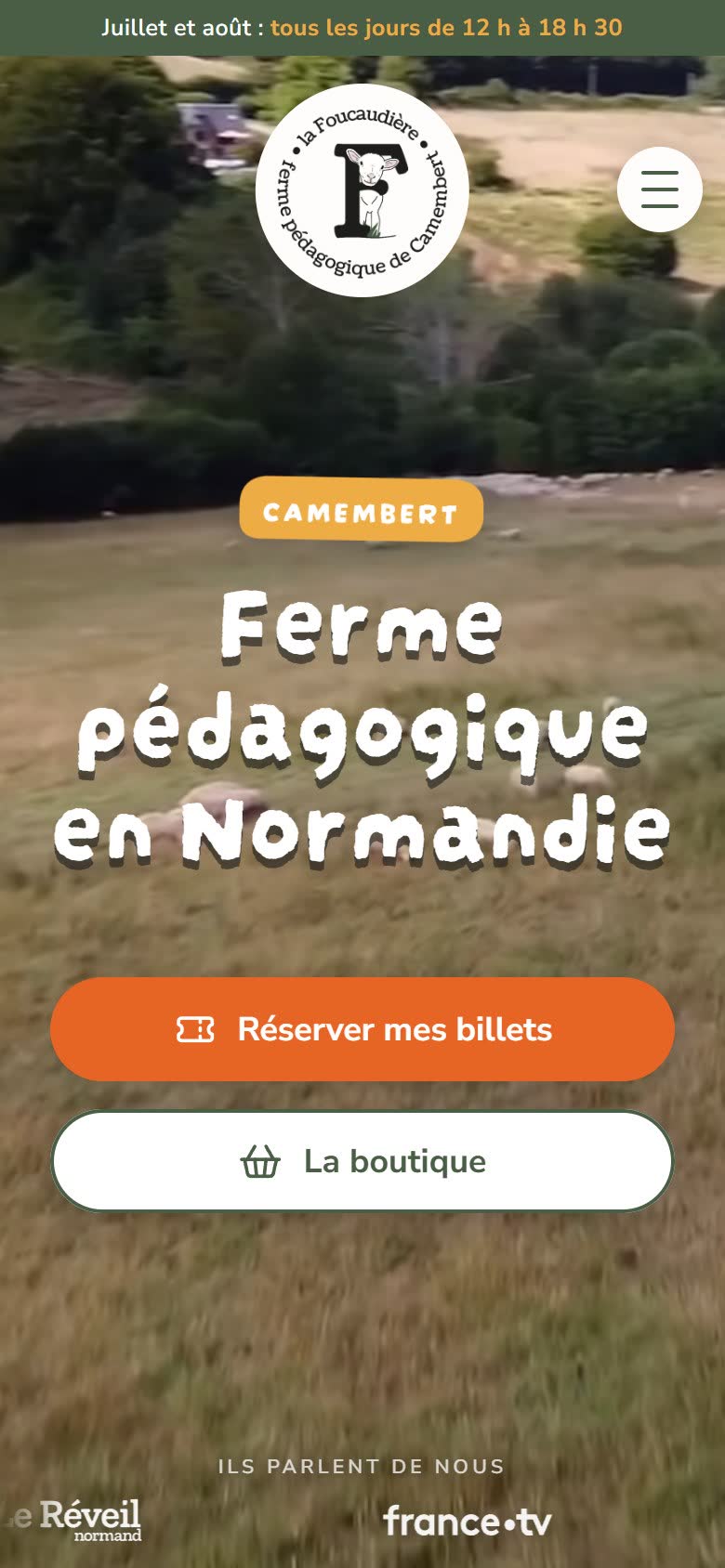 L'accueil du site sur mobile